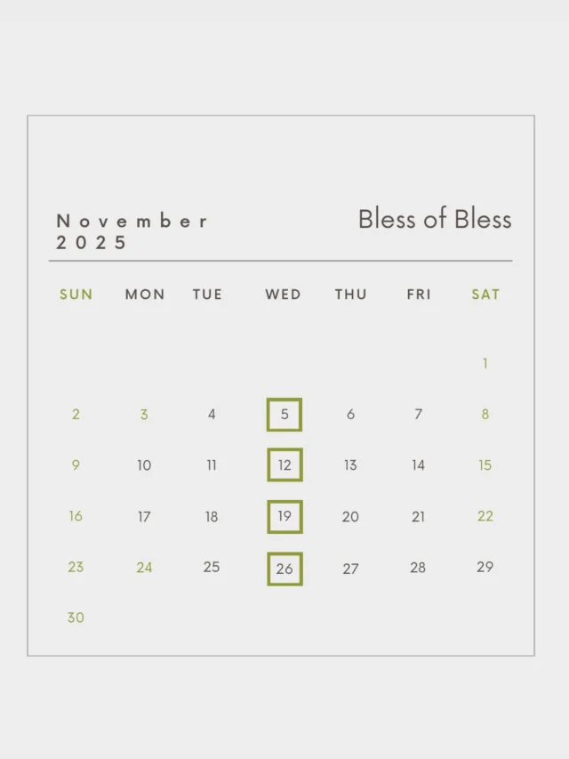 .
【11月定休日・営業時間のお知らせ📢】

定休日　11/5・12・19・26

営業時間　10:30-18:30

11月もよろしくお願いいたします🍂🦙

#松山セレクトショップ
#blessofbless
#ブレスオブブレス
#bless25aw